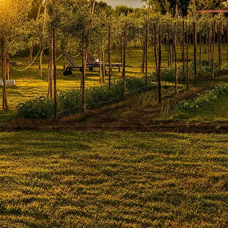 Agri-Resort Luxury Farm-2